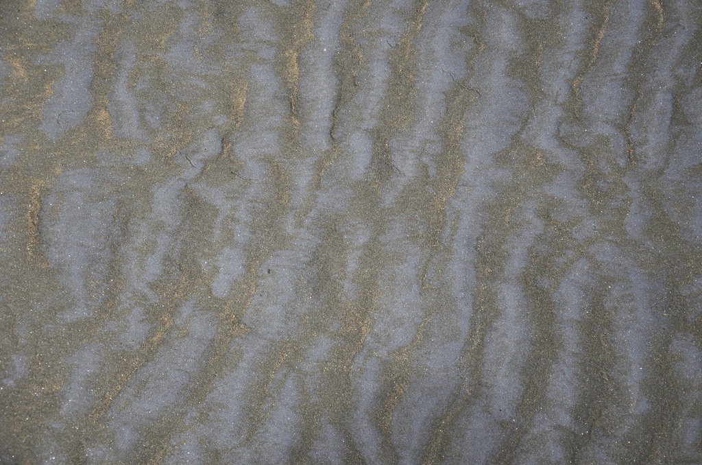 2017-03 New Zealand/Auckland Centenial Park/DSC_0018.JPG